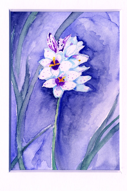 flowers, watercolor